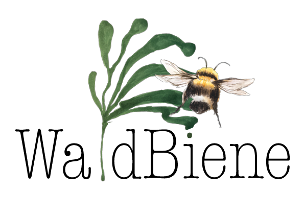 Logo Sabine Saarmann -Waldfuehrungen und Erlebnisse